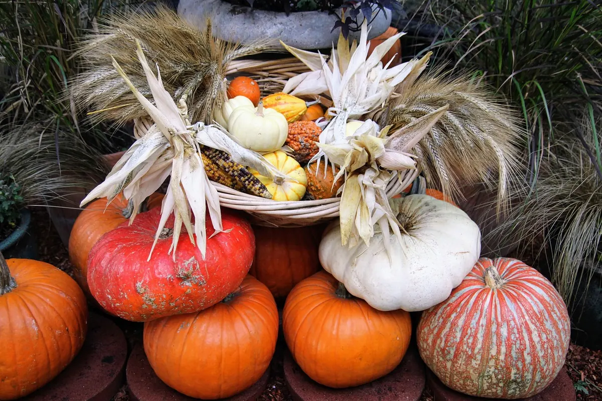 Autumn Pantry Reset: How to Store Squash, Apples and Root Vegetables for Winter